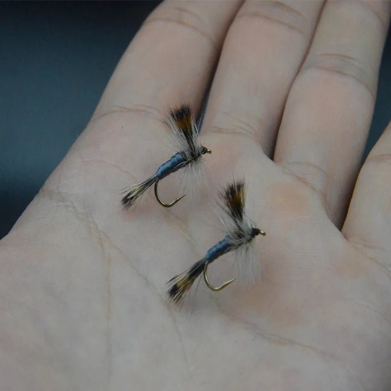 CONTEMPLATOR Grey Wulff Royal Dry Fly Set – Size 12 Fly Fishing Lures (5PCS)