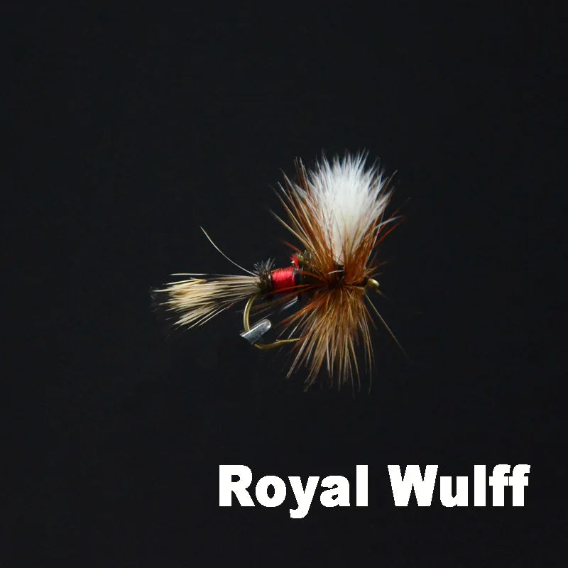 CONTEMPLATOR Grey Wulff Royal Dry Fly Set – Size 12 Fly Fishing Lures (5PCS)