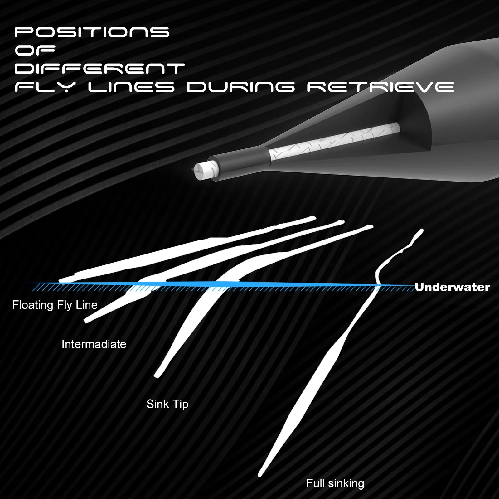 MAXIMUMCATCH Weight Forward Sinking Fly Line – 100 ft Sink Line (4WT–8WT)