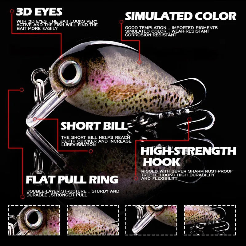 ANFS Mini Crankbait Fishing Lure 5 Piece With Case